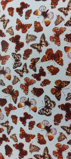 Decals - Butterfly