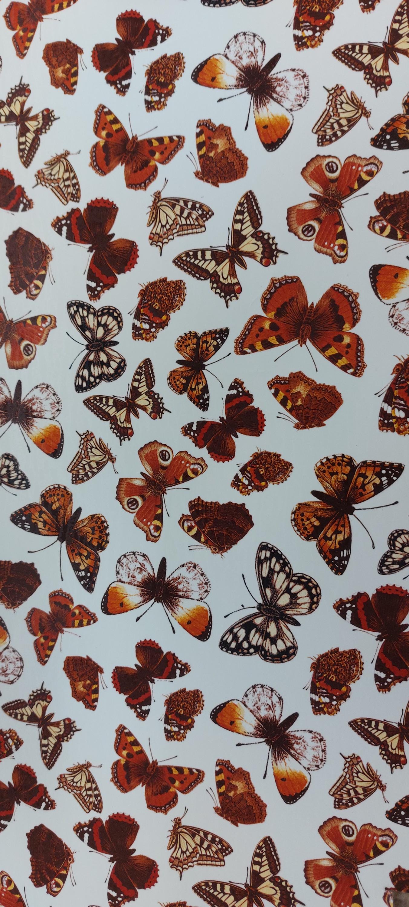 Decals - Butterfly