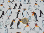 Decals - Penguin