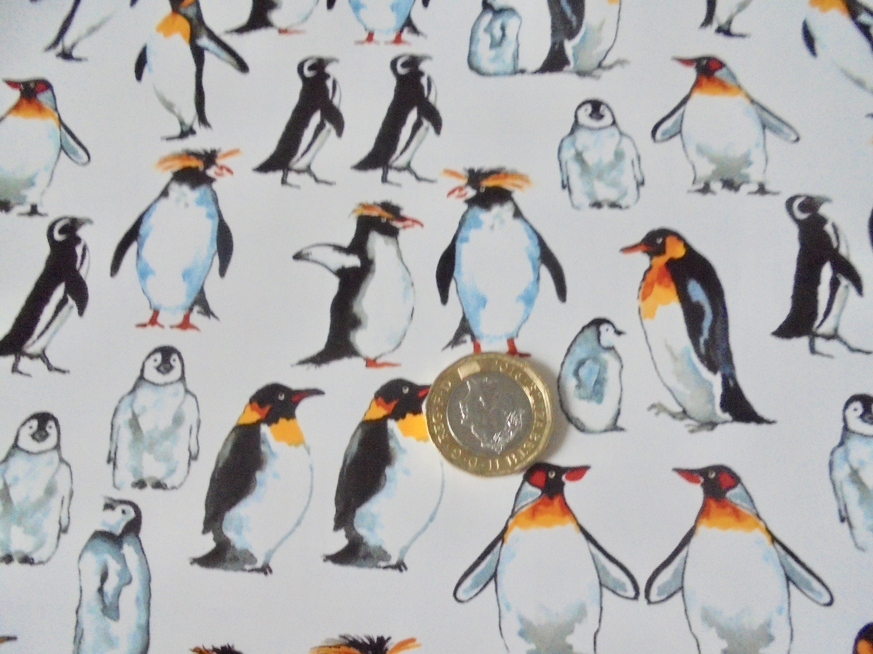 Decals - Penguin