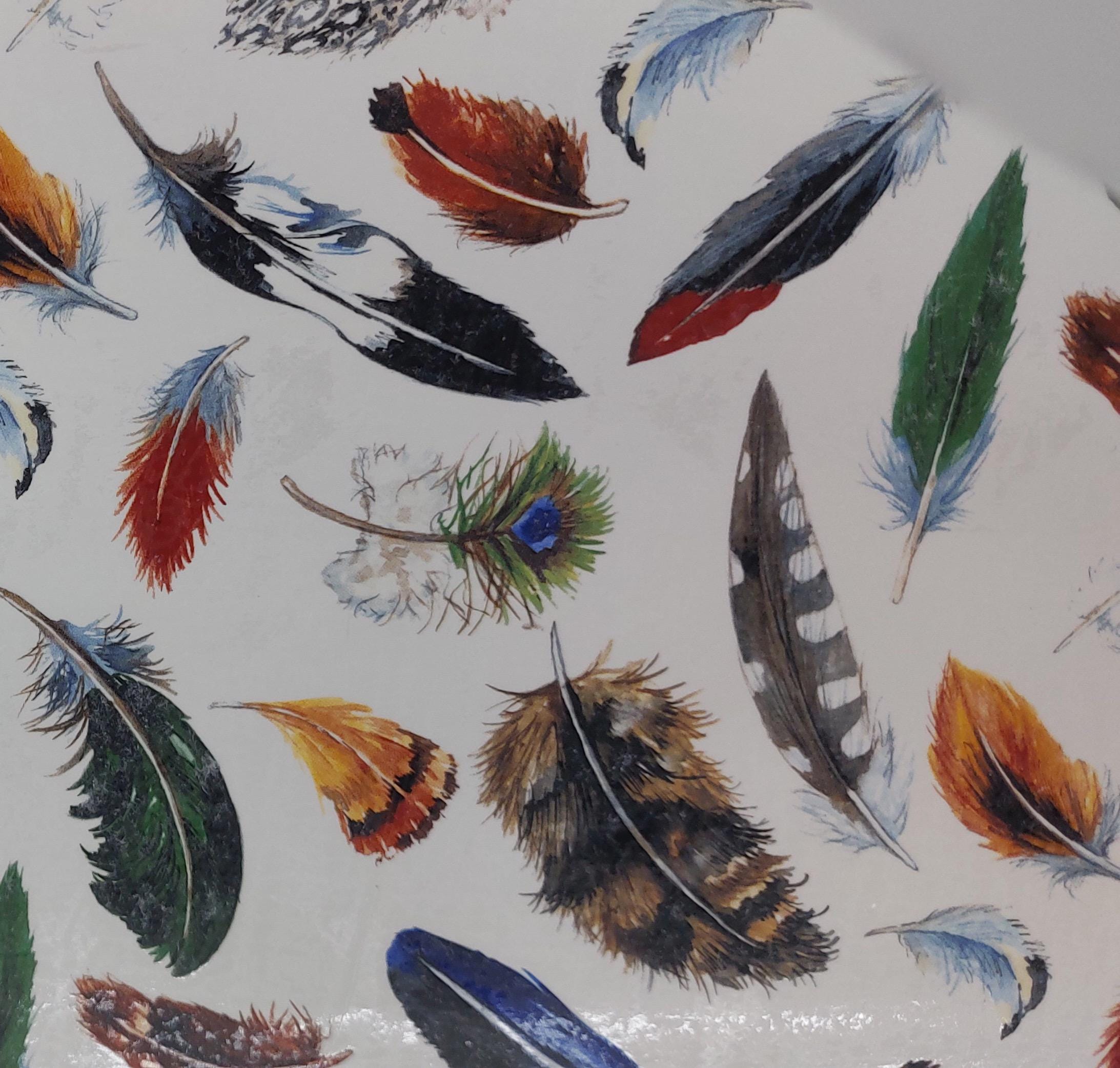 Decals - Feathers