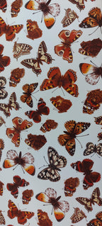 Decals - Butterfly