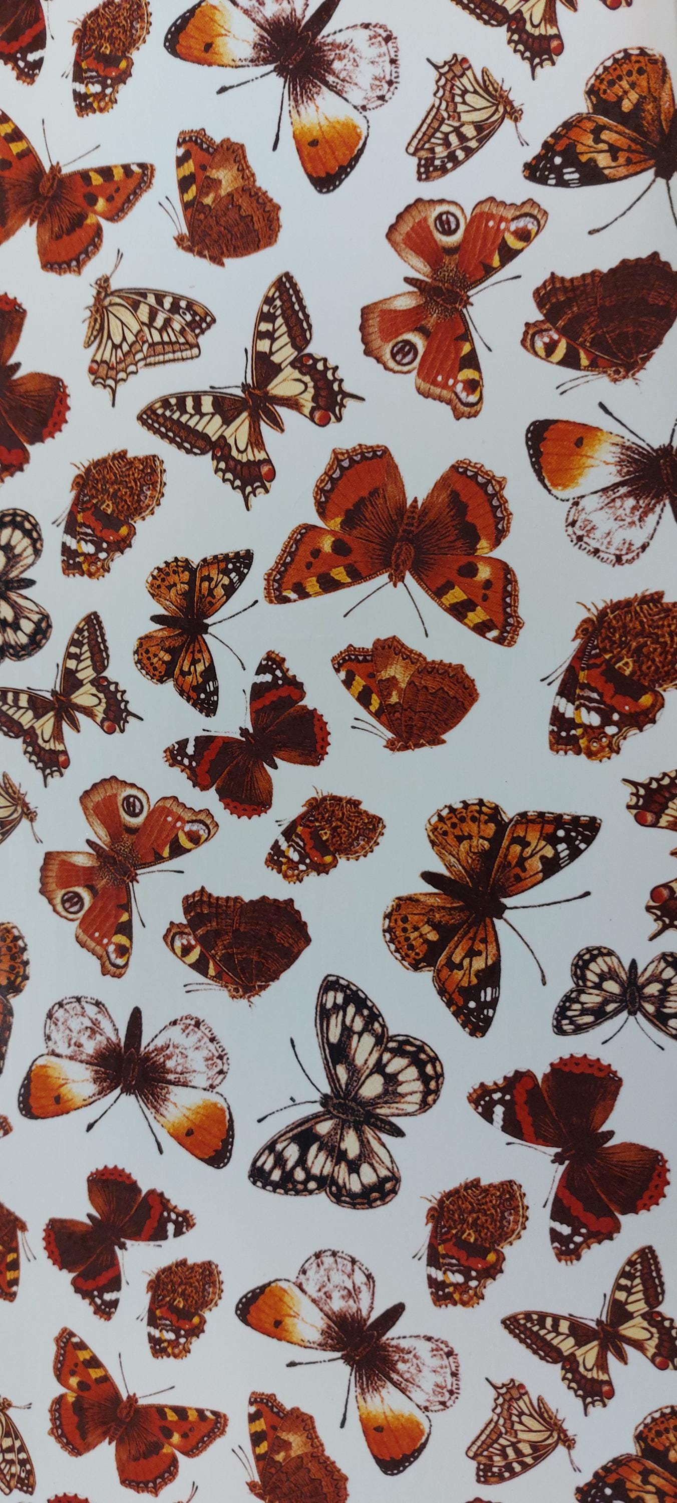 Decals - Butterfly
