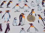 Decals - Penguin