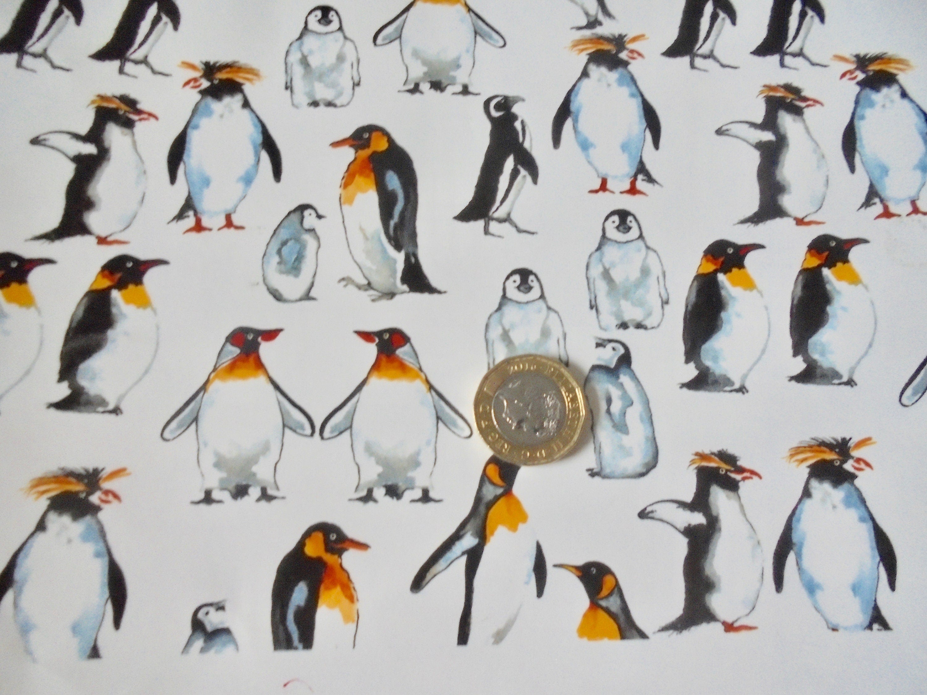 Decals - Penguin