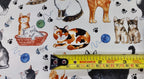 Cat decals for Glass Fusing and Ceramics