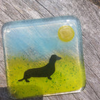 Coaster - Dachshund dog