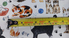 Cat decals for Glass Fusing and Ceramics