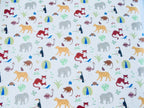Decals - Jungle animals