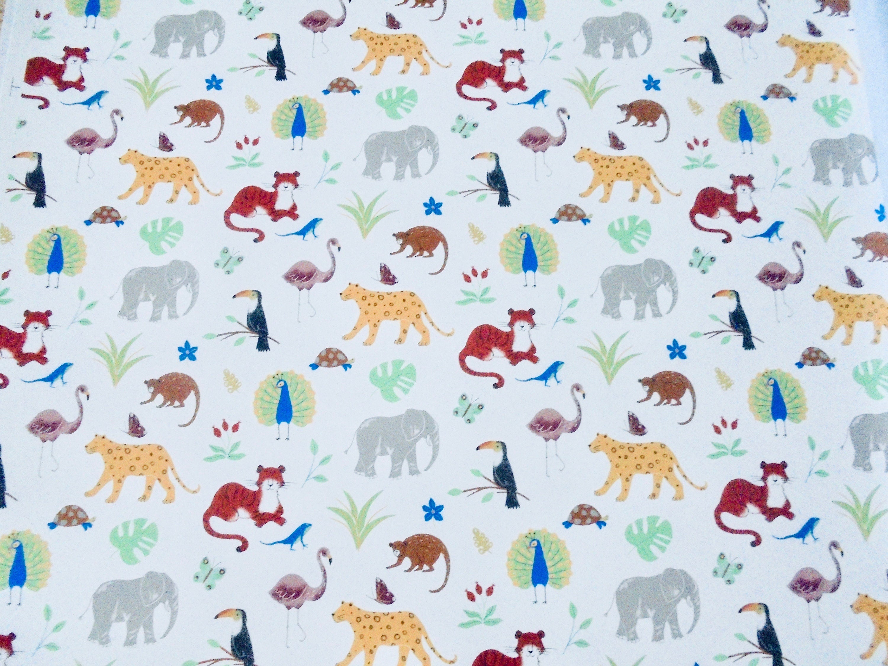 Decals - Jungle animals
