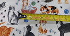 Cat decals for Glass Fusing and Ceramics