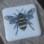 Coaster - Bumblebee
