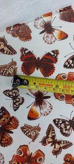 Decals - Butterfly