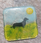 Coaster - Dachshund dog