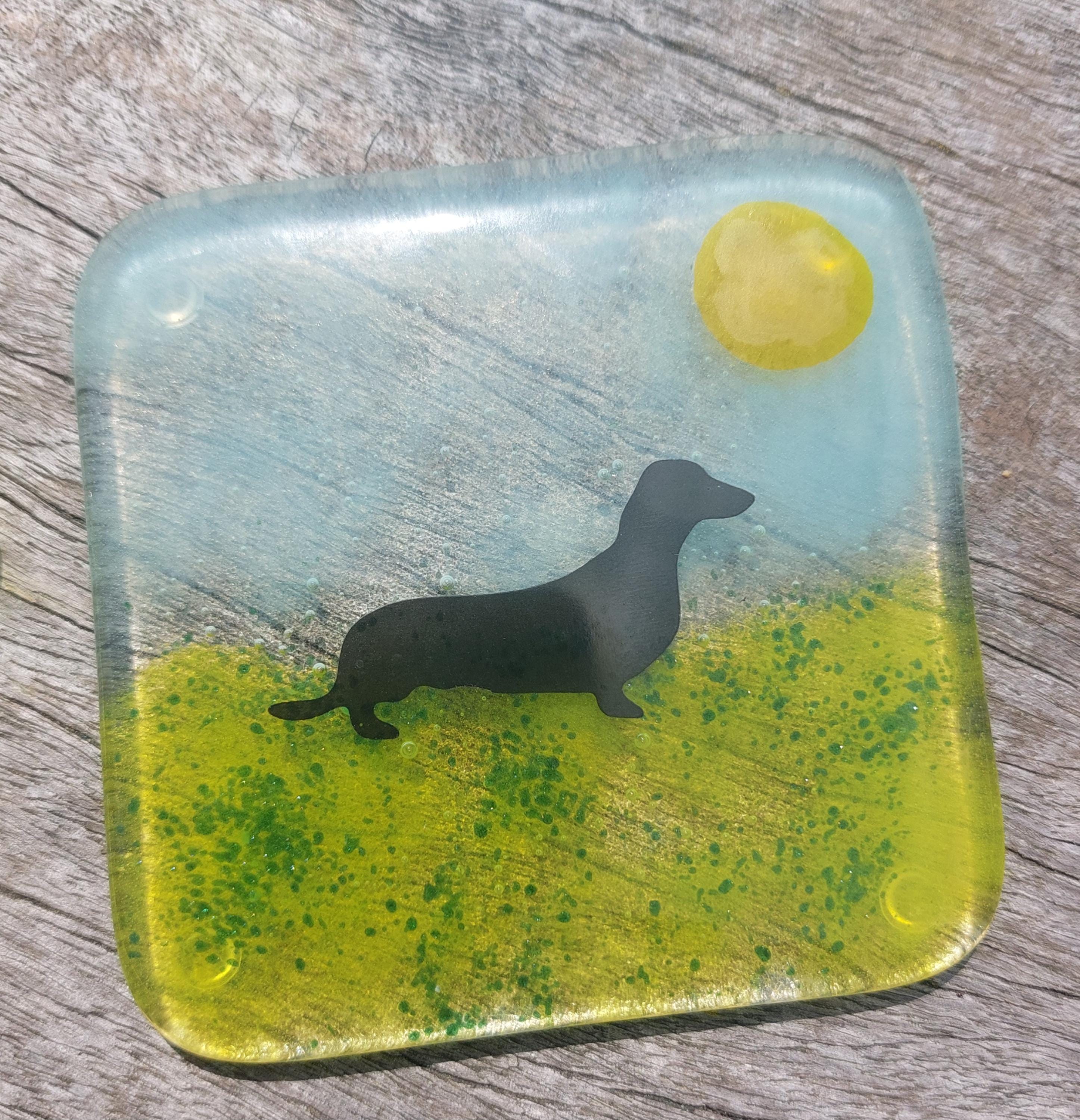 Coaster - Dachshund dog
