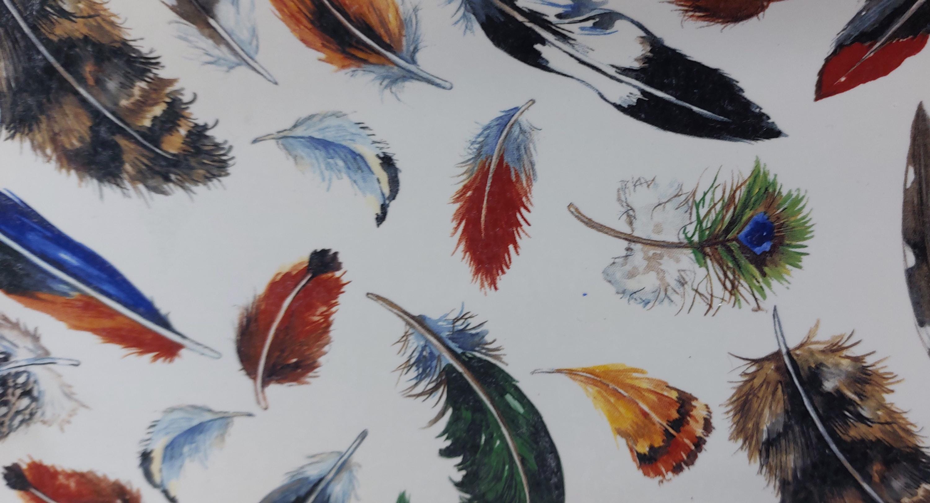 Decals - Feathers