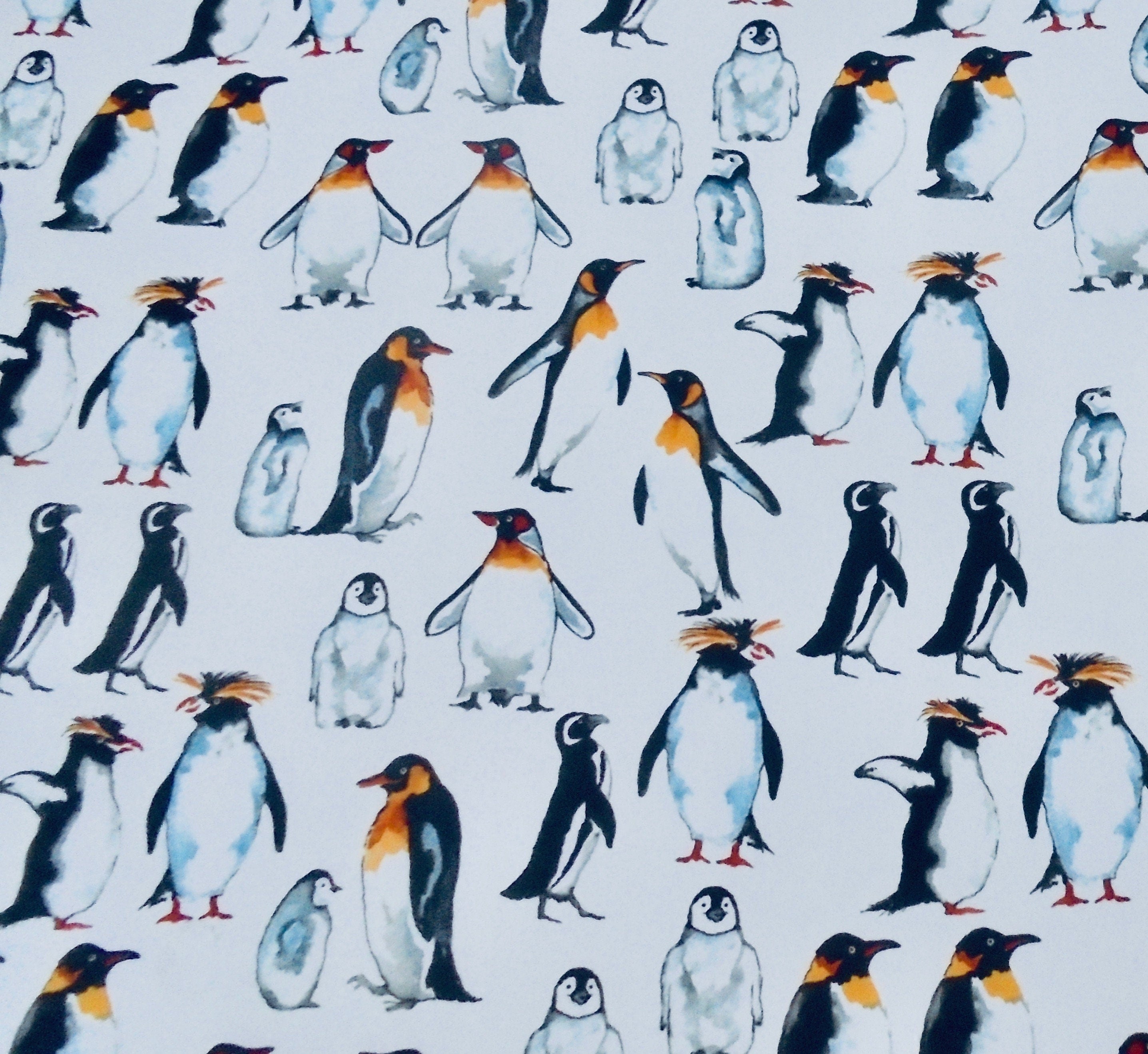 Decals - Penguin